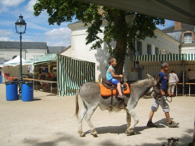 fete 2016 (50).jpg